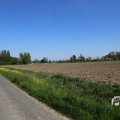 IMG_1349213
