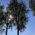 IMG_1349225
