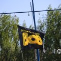 IMG_1349242