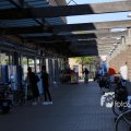 IMG_1349334