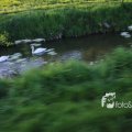 IMG_1349394
