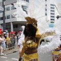 IMG_1372954