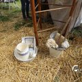IMG_1374546
