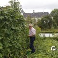 IMG_1374651