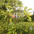 IMG_1374671