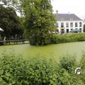 IMG_1374674