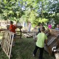 IMG_1375537