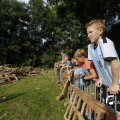 IMG_1375806