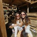 IMG_1376123