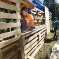 IMG_1376190