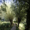 IMG_1376394