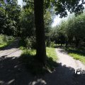 IMG_1376400