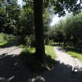 IMG_1376401