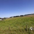IMG_1376405