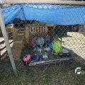 IMG_1378788