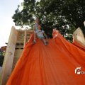 IMG_1378886