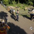 IMG_1378978
