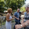 IMG_1379074