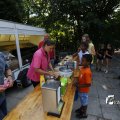 IMG_1379075