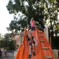 IMG_1379221