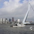 IMG_1382785