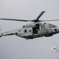IMG_1382806