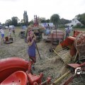 IMG_1393293