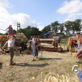 IMG_1393320