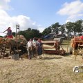 IMG_1393321