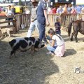 IMG_1393381