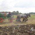 IMG_1393903