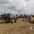 IMG_1393924