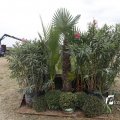 IMG_1394382