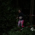 IMG_1397519