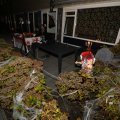 IMG_1401004