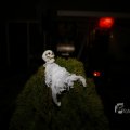 IMG_1401009