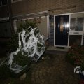 IMG_1401017