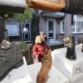 IMG_1406167