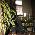IMG_1407586