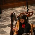 IMG_1412695