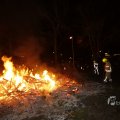 IMG_1416198