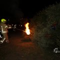 IMG_1416764