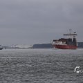IMG_1466552