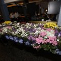 IMG_1479348