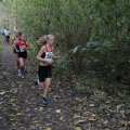 IMG_1478333