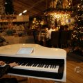 IMG_1491515