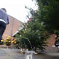 IMG_1491800
