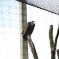 IMG_1497380