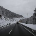 IMG_1498441