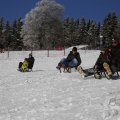IMG_1498560